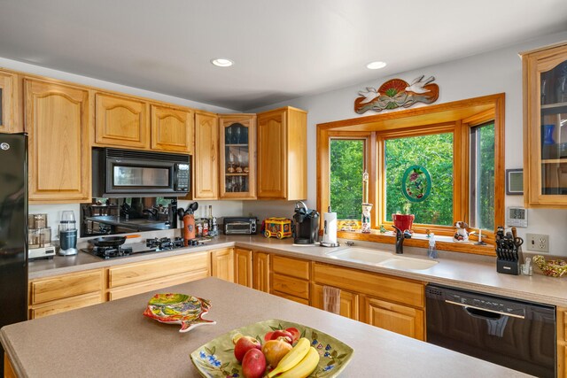 10077 Royal Coachman Trl, Gaylord, MI 49735 - kitchen featuring black appliances, a sink, recessed lighting, and glass insert cabinets