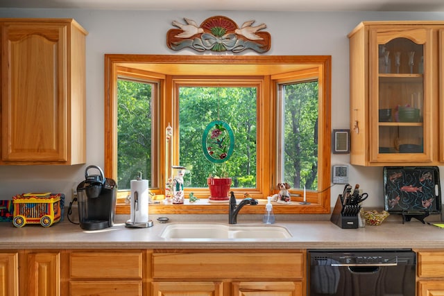 10077 Royal Coachman Trl, Gaylord, MI 49735 - kitchen featuring dishwasher, a sink, light countertops, and glass insert cabinets