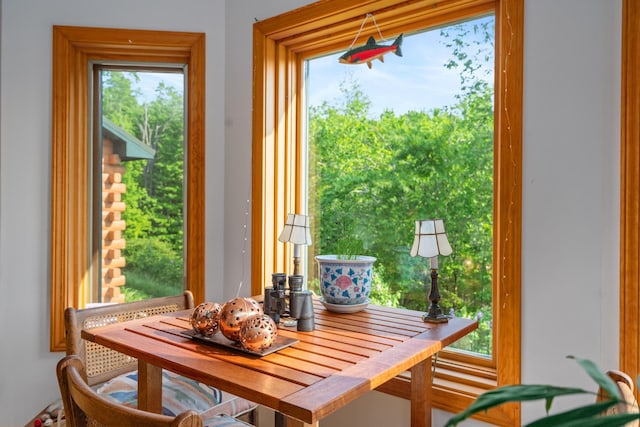 10077 Royal Coachman Trl, Gaylord, MI 49735 - view of dining area