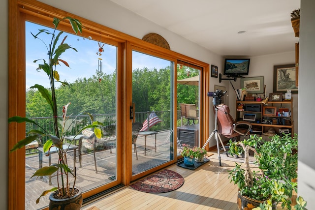 10077 Royal Coachman Trl, Gaylord, MI 49735 - doorway featuring wood-type flooring
