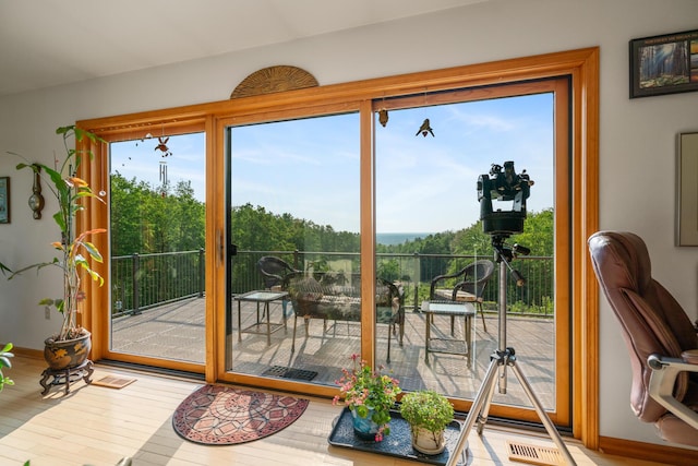 10077 Royal Coachman Trl, Gaylord, MI 49735 - doorway to outside featuring healthy amount of natural light, wood finished floors, and baseboards
