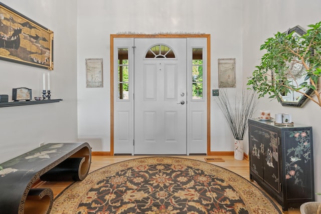 10077 Royal Coachman Trl, Gaylord, MI 49735 - entrance foyer featuring wood finished floors, baseboards, and a towering ceiling