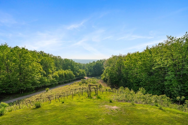 10077 Royal Coachman Trl, Gaylord, MI 49735 - view of yard featuring a wooded view