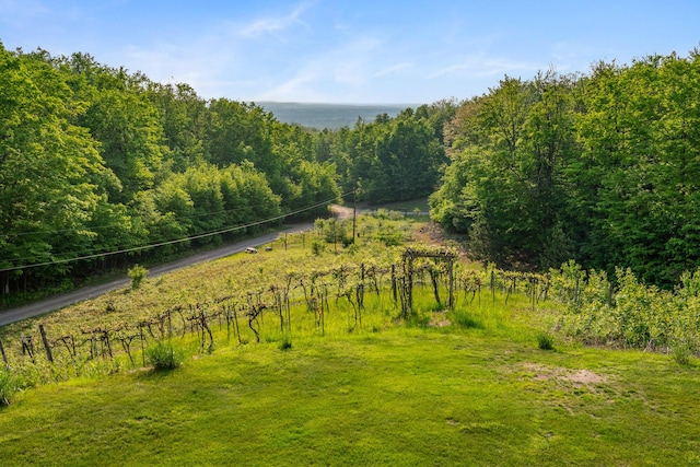 10077 Royal Coachman Trl, Gaylord, MI 49735 - view of yard with a wooded view