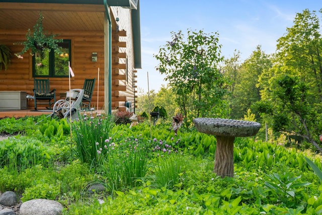 10077 Royal Coachman Trl, Gaylord, MI 49735 - view of yard with covered porch