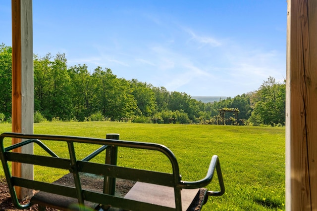10077 Royal Coachman Trl, Gaylord, MI 49735 - view of green lawn with a view of trees