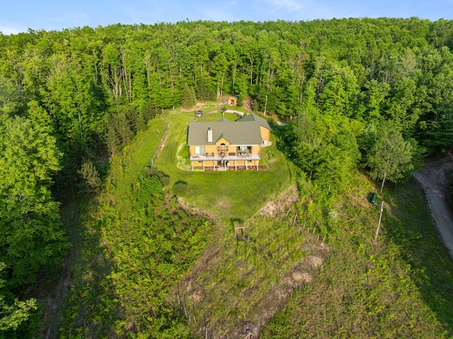 10077 Royal Coachman Trl, Gaylord, MI 49735 - view from above of property with a forest