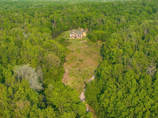 10077 Royal Coachman Trl, Gaylord, MI 49735 - aerial view of a forest