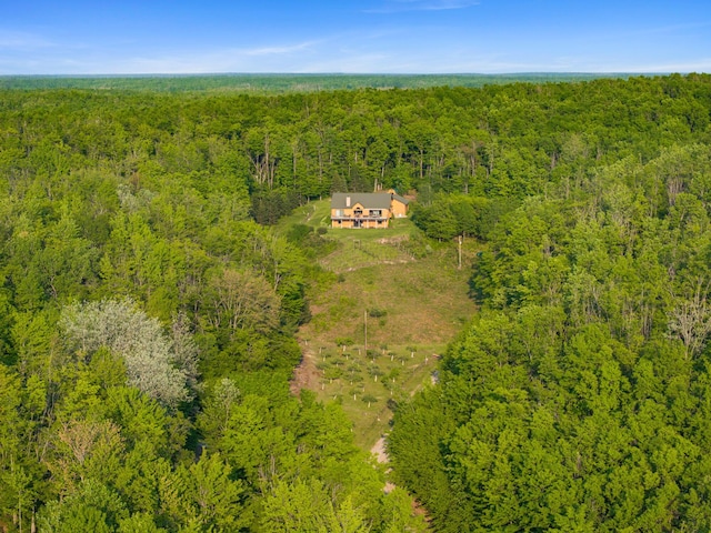 10077 Royal Coachman Trl, Gaylord, MI 49735 - aerial view of property and surrounding area with a forest