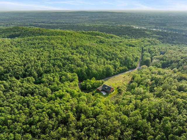 10077 Royal Coachman Trl, Gaylord, MI 49735 - bird's eye view of a forest