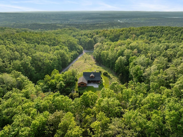 10077 Royal Coachman Trl, Gaylord, MI 49735 - view of subject property featuring a heavily wooded area