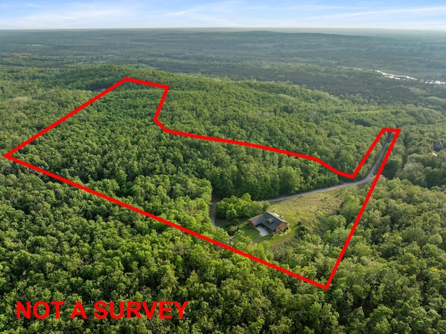 10077 Royal Coachman Trl, Gaylord, MI 49735 - aerial overview of property's location with a heavily wooded area and property parcel outlined