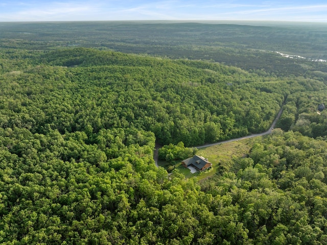 10077 Royal Coachman Trl, Gaylord, MI 49735 - drone / aerial view of a forest
