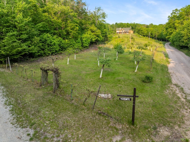 10077 Royal Coachman Trl, Gaylord, MI 49735 - view of community with a view of trees