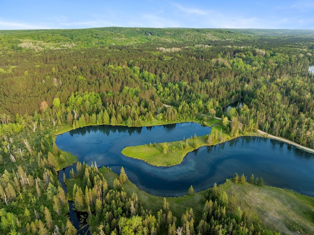 10077 Royal Coachman Trl, Gaylord, MI 49735 - aerial view of a forest and a large body of water