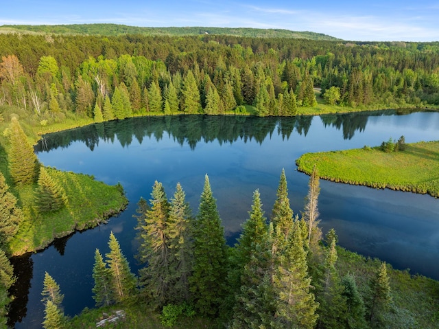 10077 Royal Coachman Trl, Gaylord, MI 49735 - drone / aerial view of a heavily wooded area and a large body of water