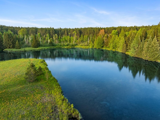10077 Royal Coachman Trl, Gaylord, MI 49735 - water view with a forest
