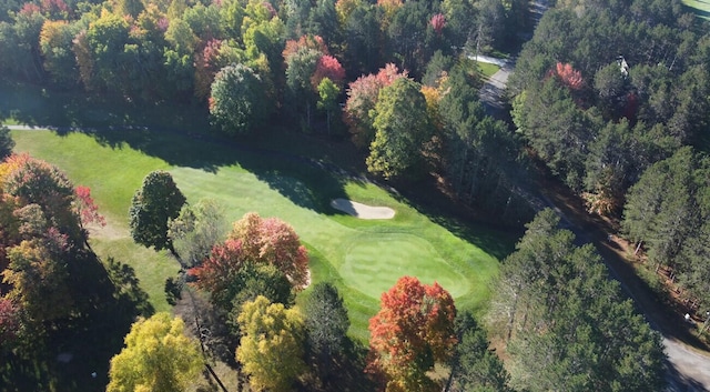 5783 Bent Tree Dr, Gaylord, MI 49735 - photo 5