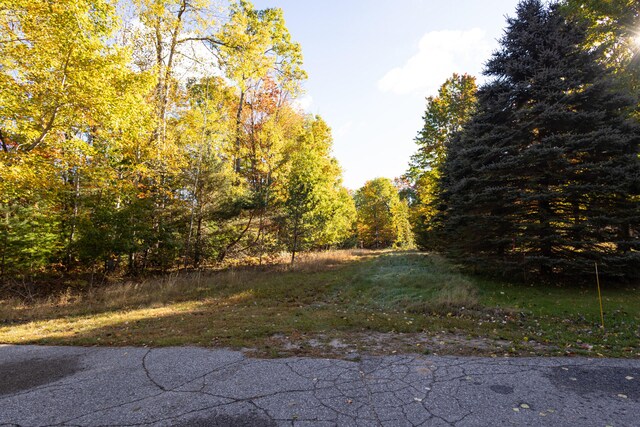 5783 Bent Tree Dr, Gaylord, MI 49735 - photo 6