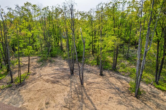 7805 Gray Hawk Ct, Gaylord, MI 49735 - photo 45