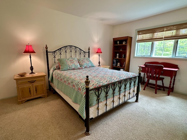 9615 Highbanks Dr, Cheboygan, MI 49721 - photo 27