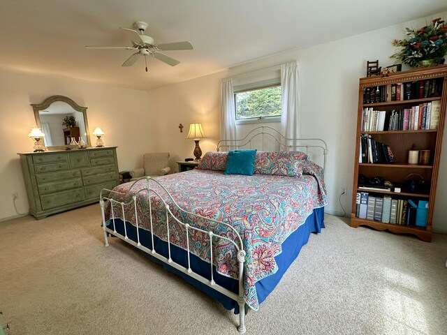 9615 Highbanks Dr, Cheboygan, MI 49721 - photo 22