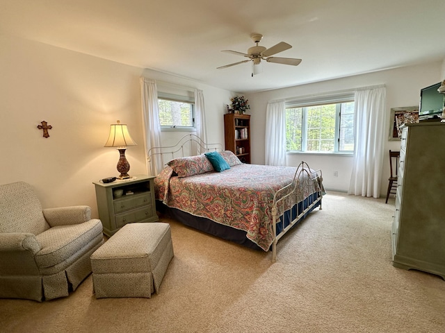 9615 Highbanks Dr, Cheboygan, MI 49721 - photo 23