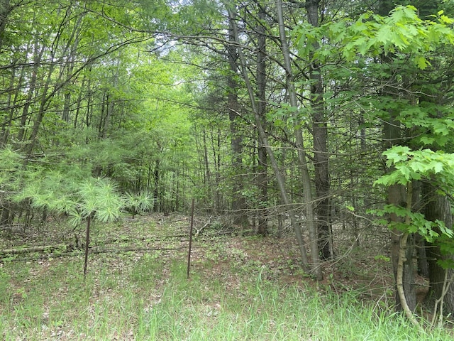 S Poor Farm Rd, Harrisville, MI 48740 - photo 1