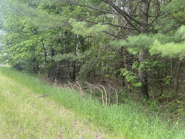 S Poor Farm Rd, Harrisville, MI 48740 - photo 3
