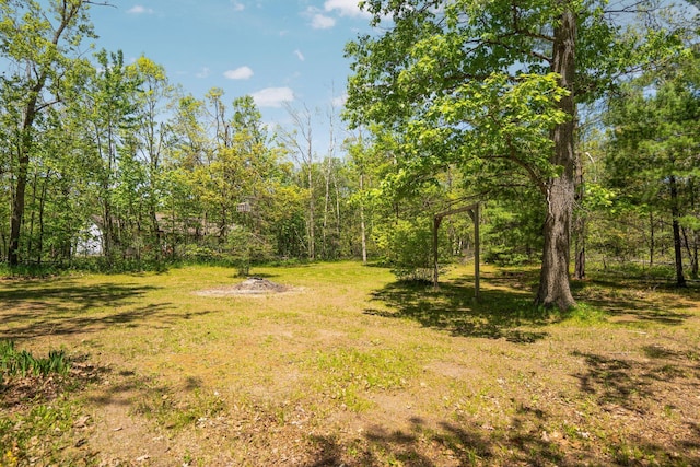 5466 Big Wolf Ln, Lewiston, MI 49756 - view of yard