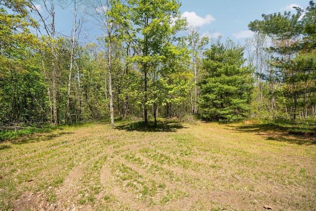 5466 Big Wolf Ln, Lewiston, MI 49756 - view of yard
