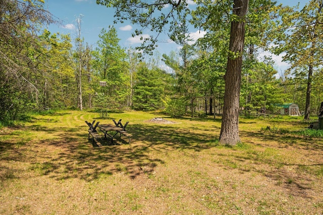 5466 Big Wolf Ln, Lewiston, MI 49756 - view of green lawn with a wooded view and a storage shed