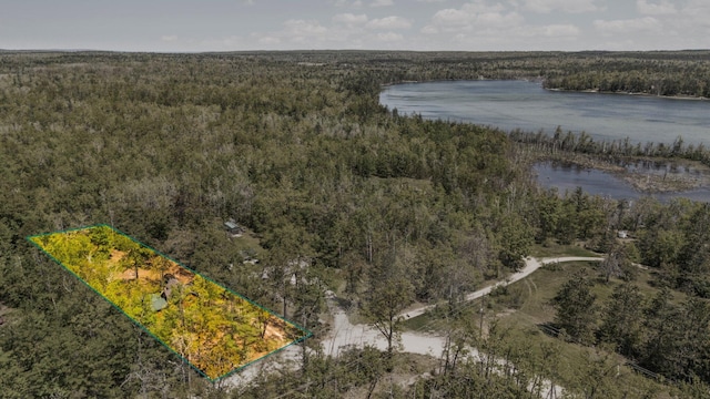 5466 Big Wolf Ln, Lewiston, MI 49756 - aerial view of property's location with a nearby body of water and property parcel outlined