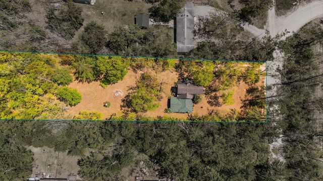 5466 Big Wolf Ln, Lewiston, MI 49756 - view of property location with property parcel outlined