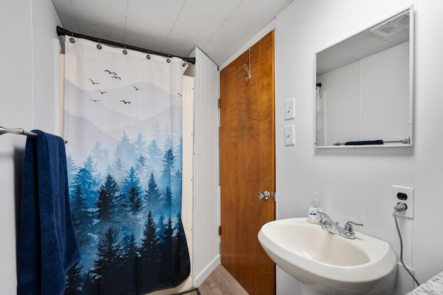 5466 Big Wolf Ln, Lewiston, MI 49756 - bathroom with wood finished floors and a shower with curtain