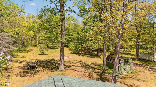5466 Big Wolf Ln, Lewiston, MI 49756 - view of yard featuring a storage unit