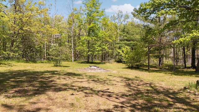 5466 Big Wolf Ln, Lewiston, MI 49756 - view of yard featuring a forest view
