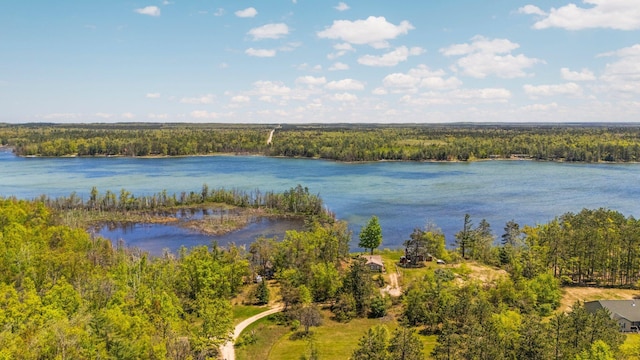 5466 Big Wolf Ln, Lewiston, MI 49756 - water view with a forest
