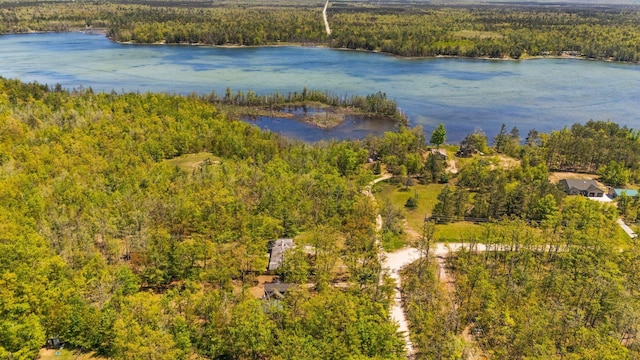 5466 Big Wolf Ln, Lewiston, MI 49756 - drone / aerial view of a nearby body of water