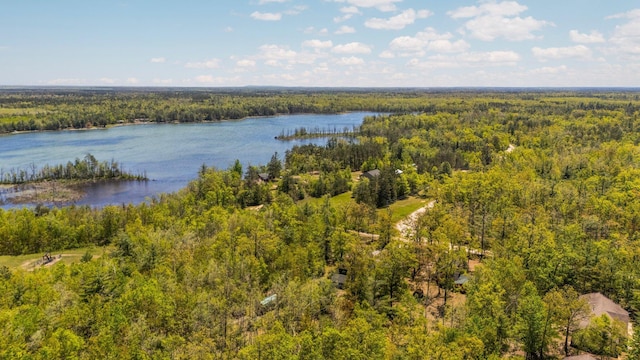 5466 Big Wolf Ln, Lewiston, MI 49756 - aerial view of a forest and a large body of water