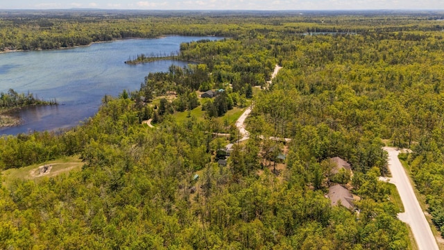5466 Big Wolf Ln, Lewiston, MI 49756 - aerial view of a heavily wooded area and a nearby body of water