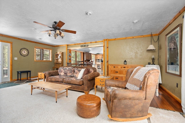 5466 Big Wolf Ln, Lewiston, MI 49756 - living room with a ceiling fan, ornamental molding, a textured ceiling, wood finished floors, and a textured wall