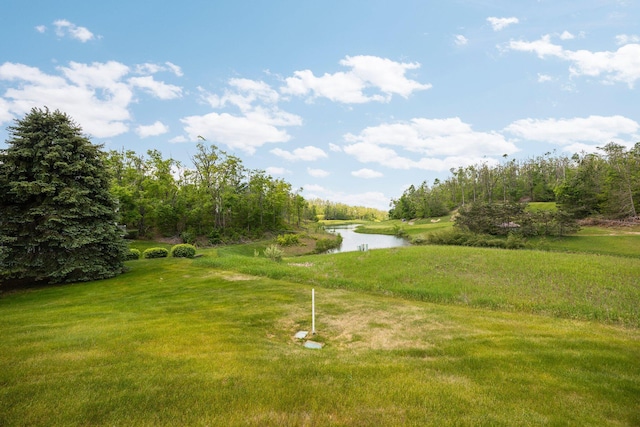 4714 Fazio Dr, Gaylord, MI 49735 - photo 94