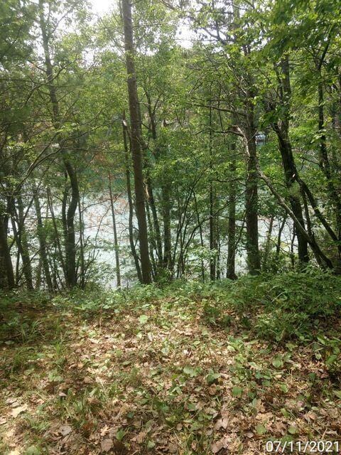 0 Beach Rd, Johannesburg, MI 49751