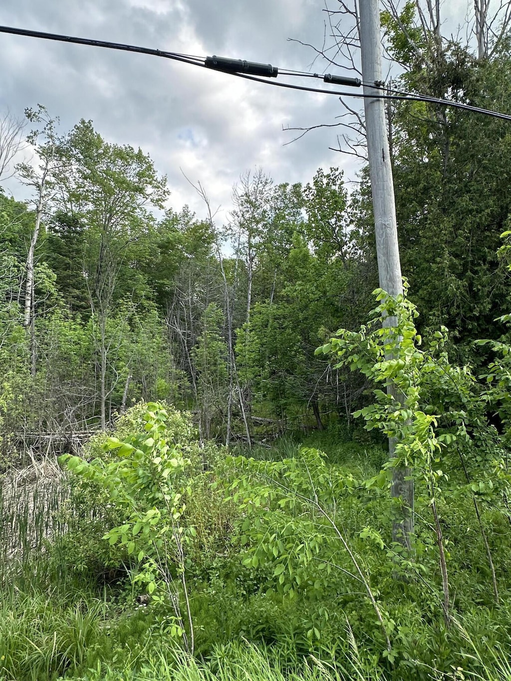 LOTS26-28 W Main St, Wolverine, MI 49799 - photo 3