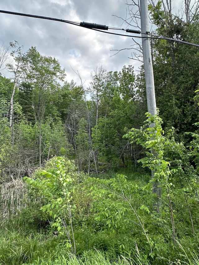 LOTS26-28 W Main St, Wolverine, MI 49799 - photo 3