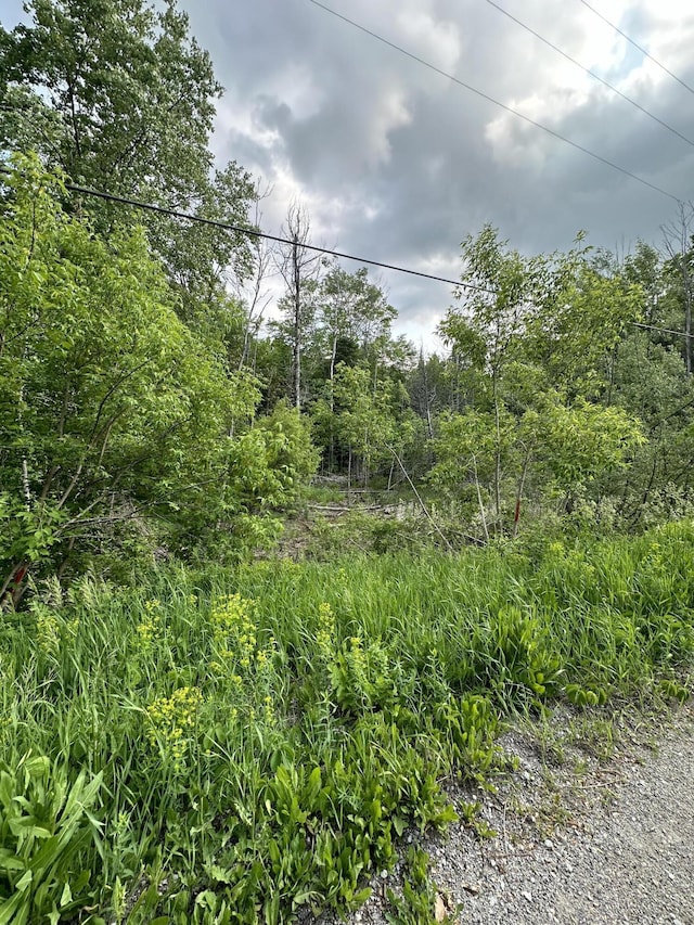 LOTS26-28 W Main St, Wolverine, MI 49799 - photo 2
