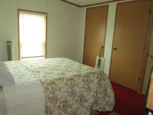 5189 Pinecrest Dr, Lewiston, MI 49756 - bedroom with multiple closets and carpet flooring