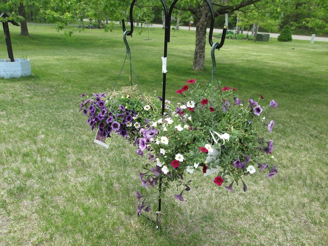 5189 Pinecrest Dr, Lewiston, MI 49756 - view of green lawn