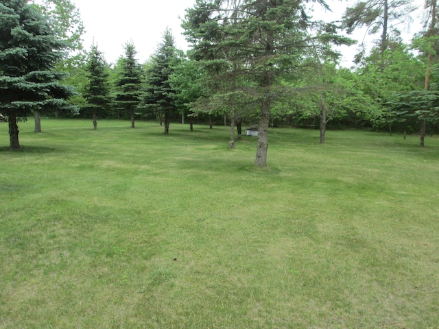 5189 Pinecrest Dr, Lewiston, MI 49756 - view of grassy yard